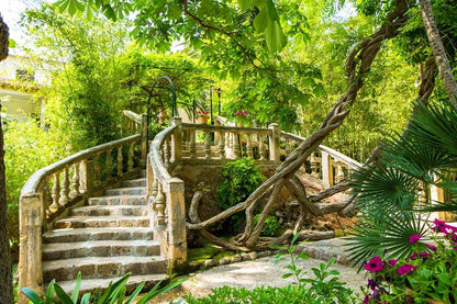 Palmera Verde 305 