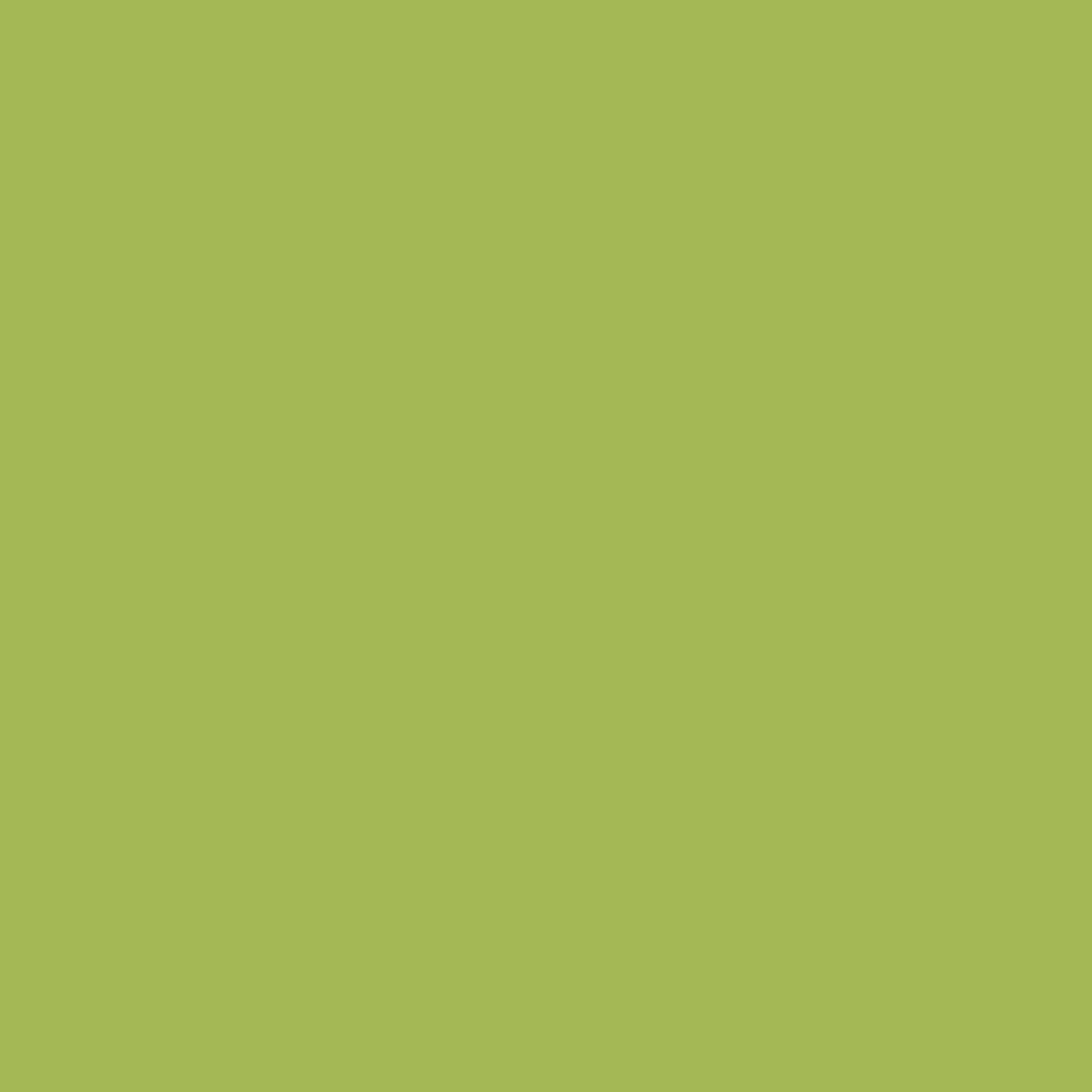 Palmera Verde 305 