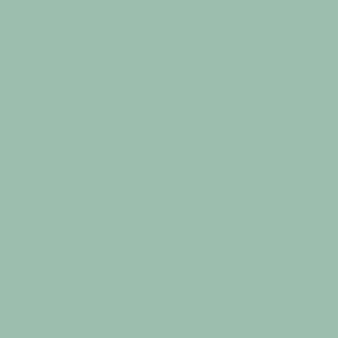 Palmera Verde 407 