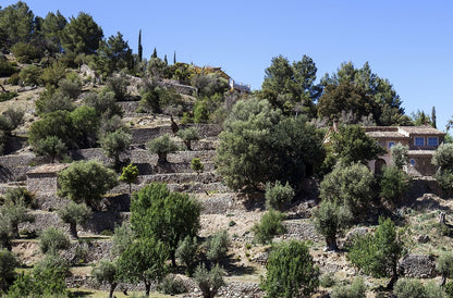Tramuntana Gris 708 