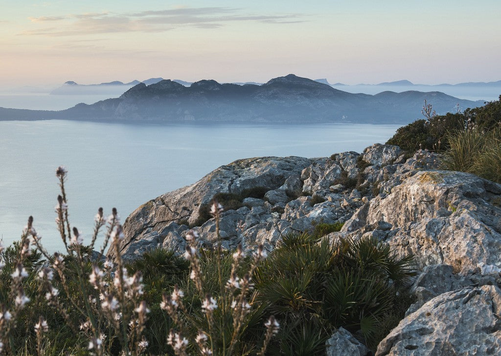 Tramuntana Gris 709 