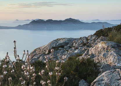 Tramuntana Gris 709 