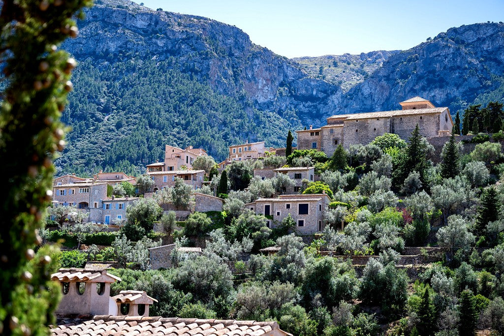 Tramuntana Gris 710 