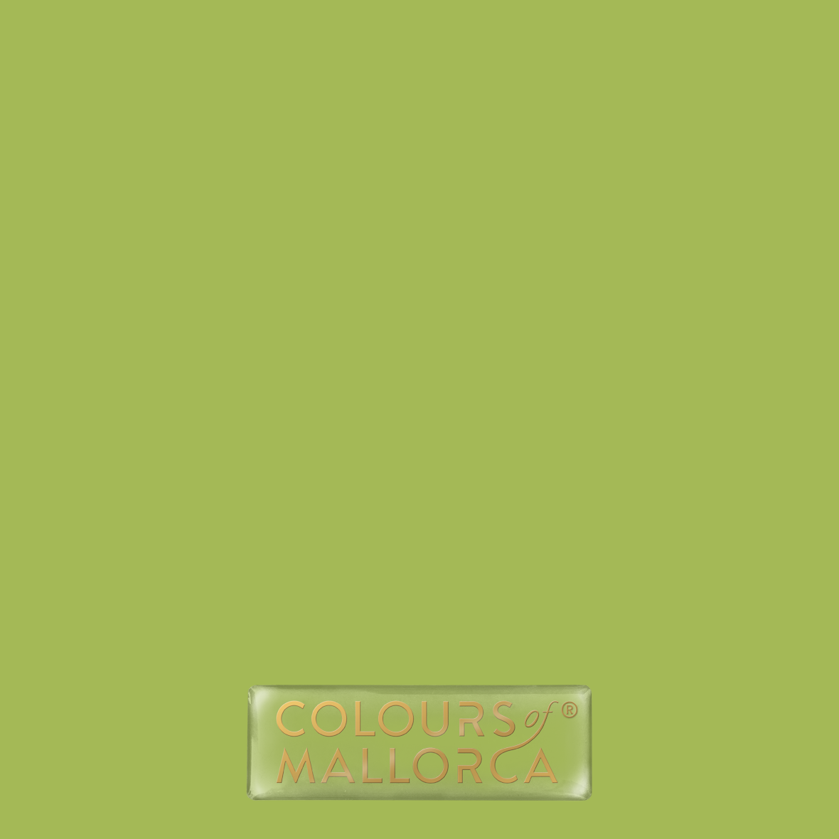Palmera Verde 305 