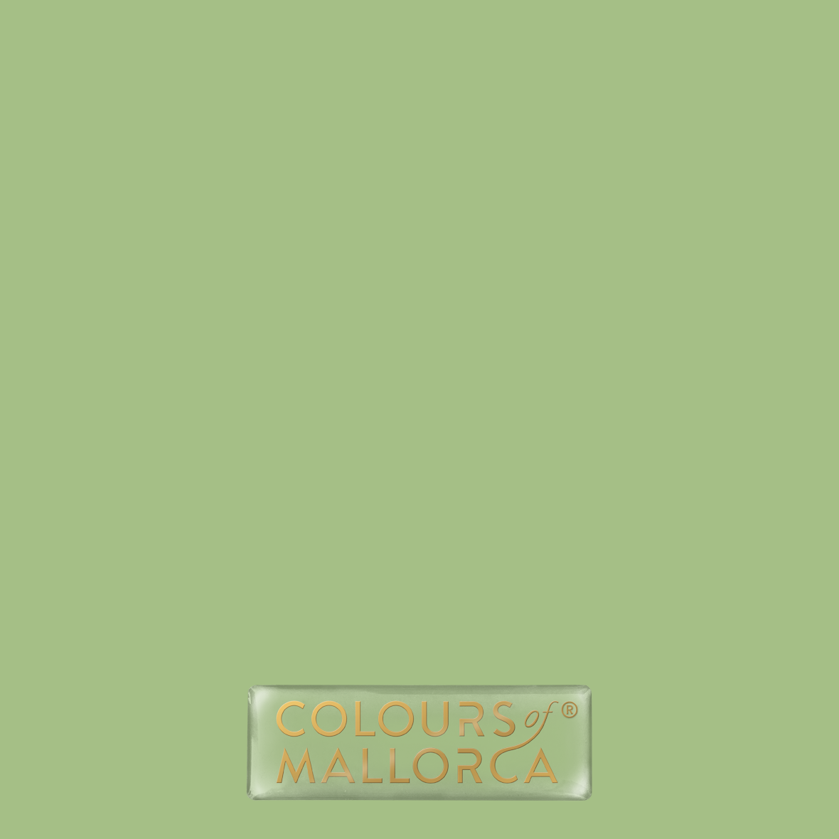 Palmera Verde 311 