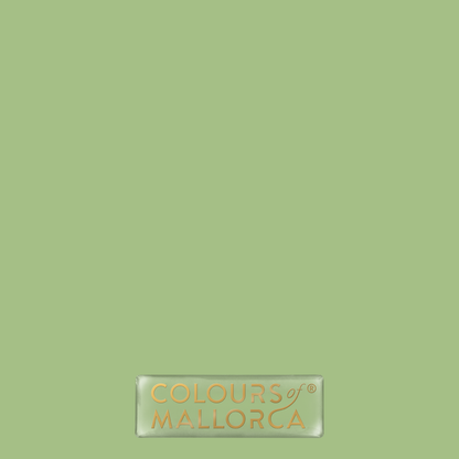 Palmera Verde 311 