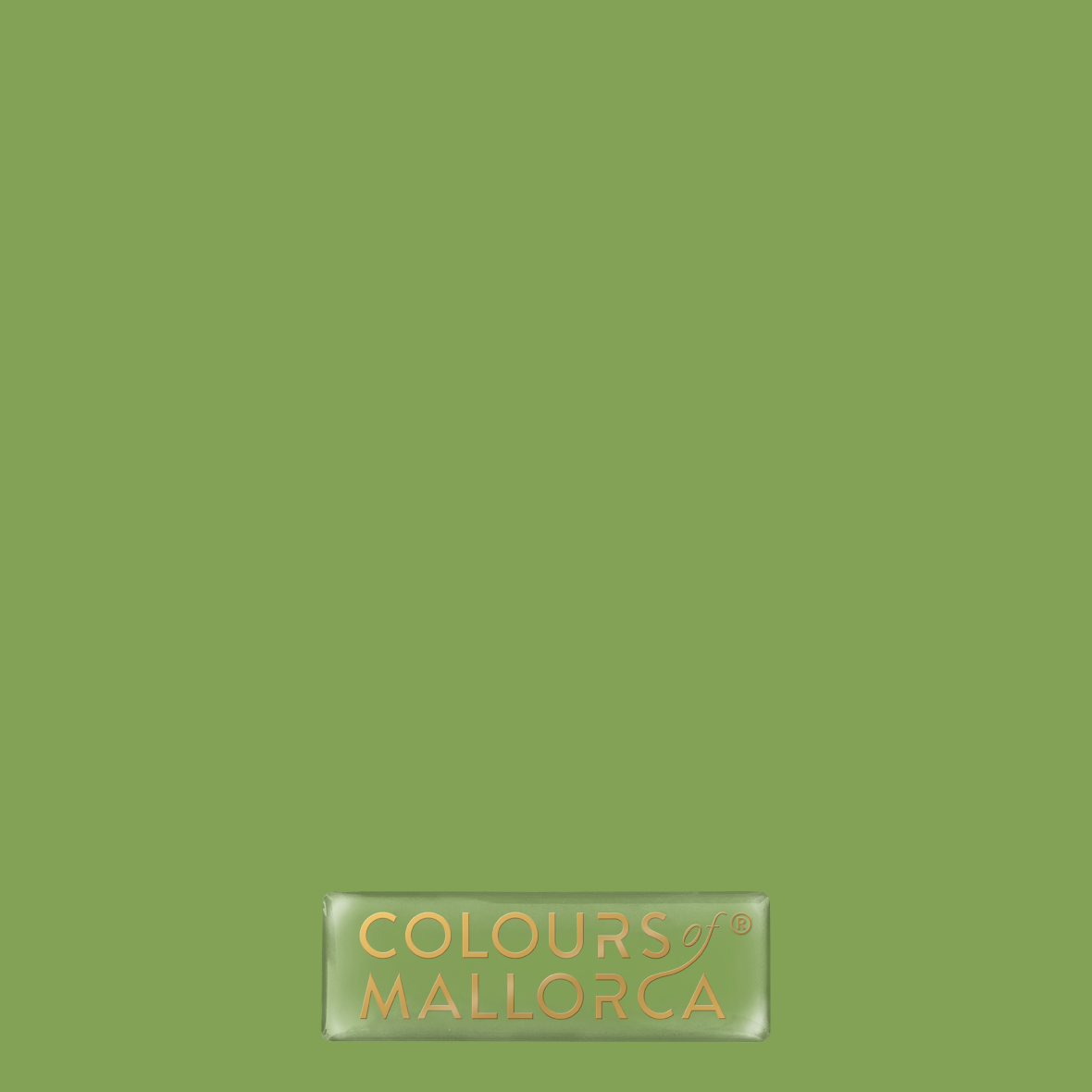 Palmera Verde 401