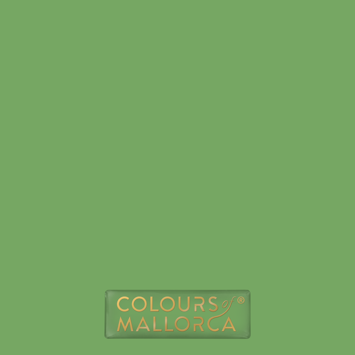 Palmera Verde 402 