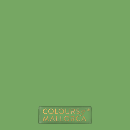 Palmera Verde 402 