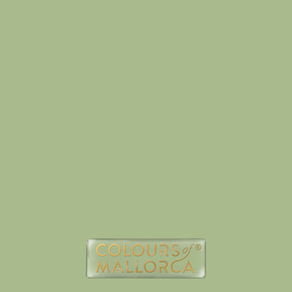 Palmera Verde 404 