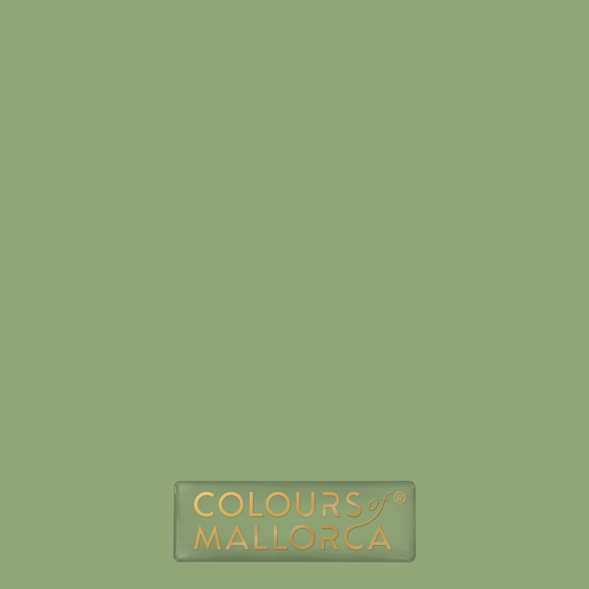 Palmera Verde 405 