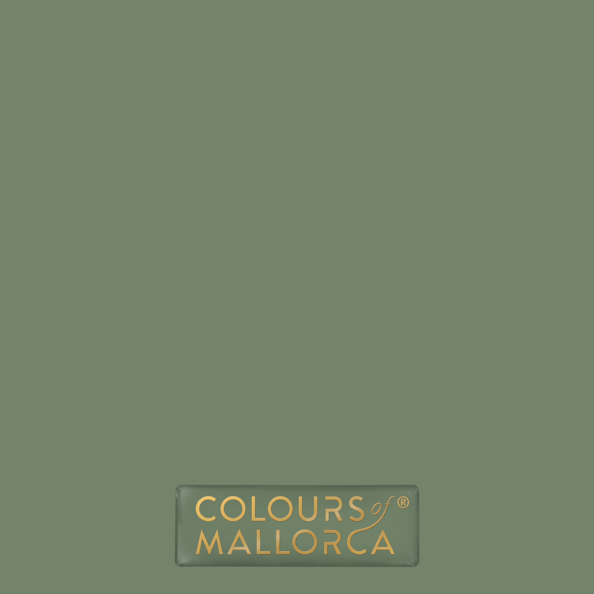 Palmera Verde 406