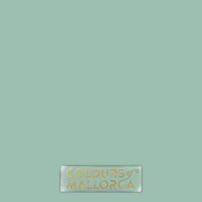 Palmera Verde 407 