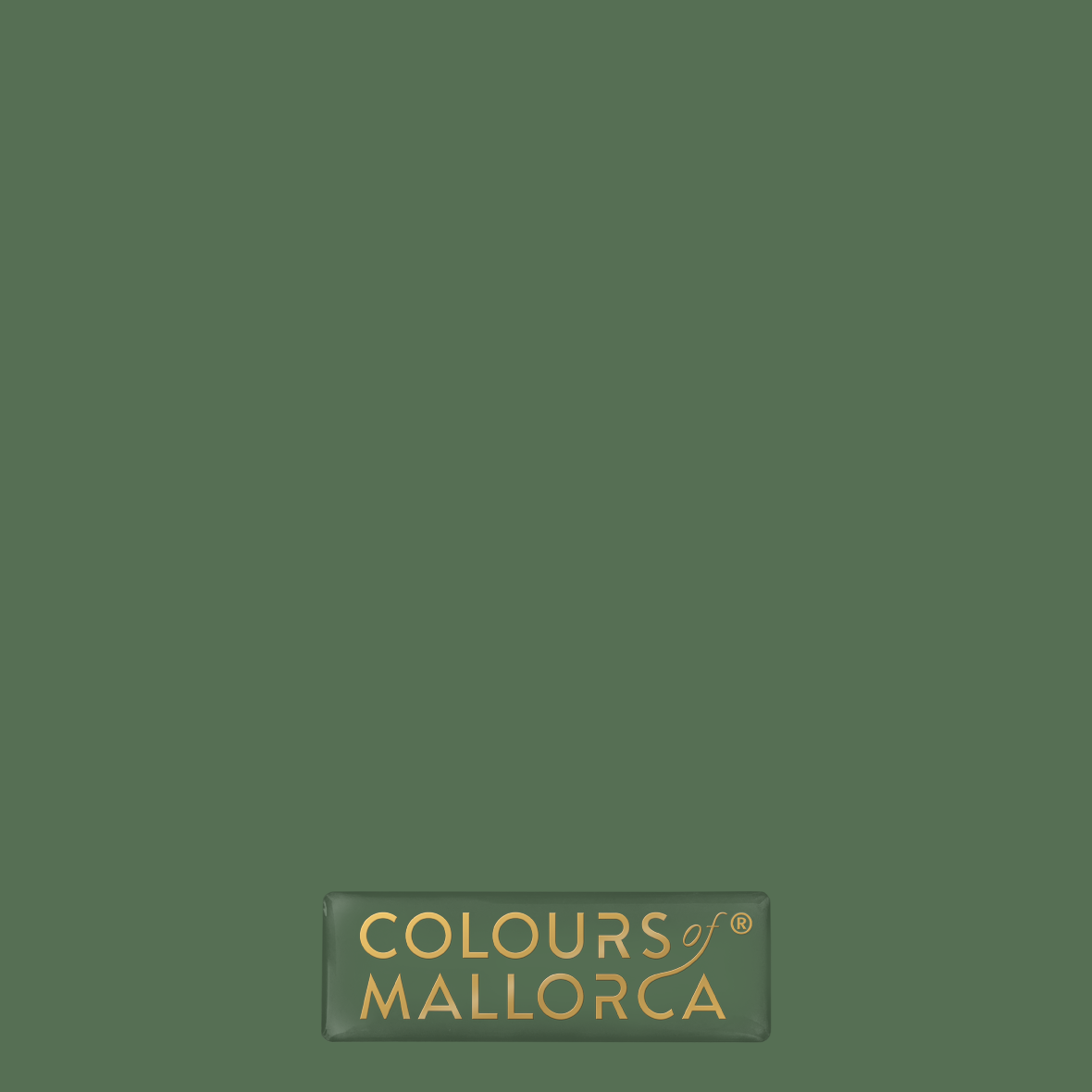 Palmera Verde 410 