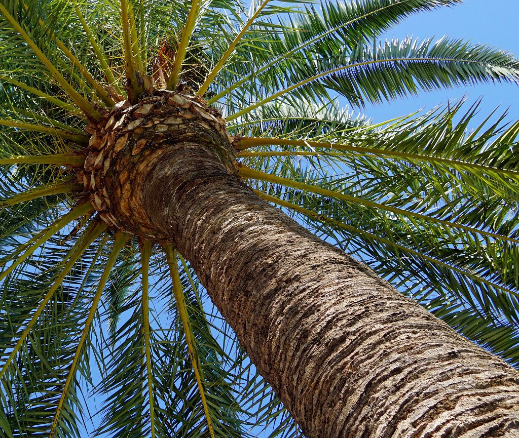 Tierra Cálida 227 