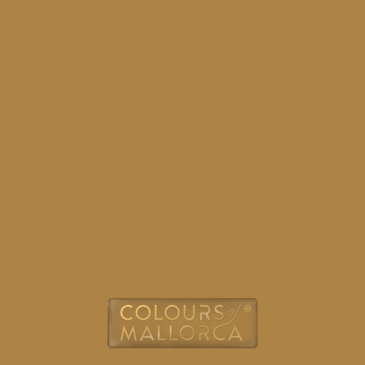 Tierra Cálida 802 