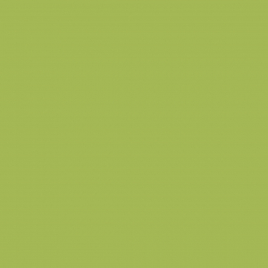 Palmera Verde 305