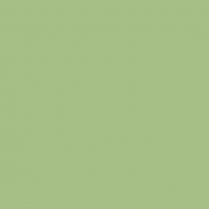 Palmera Verde 311