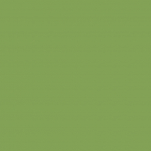 Palmera Verde 401
