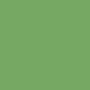 Palmera Verde 402