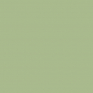 Palmera Verde 404