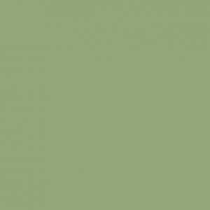 Palmera Verde 405