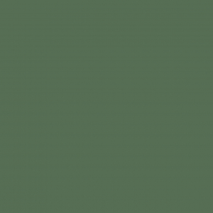 Palmera Verde 410