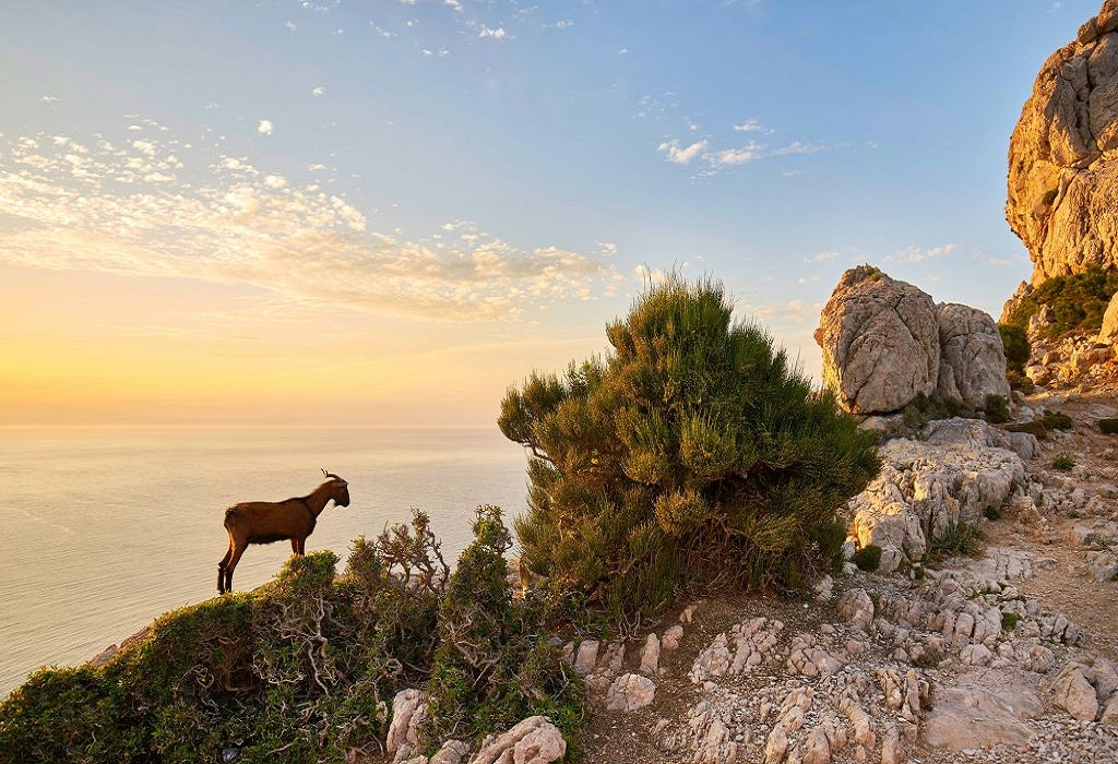 Colorida escena natural en Mallorca
