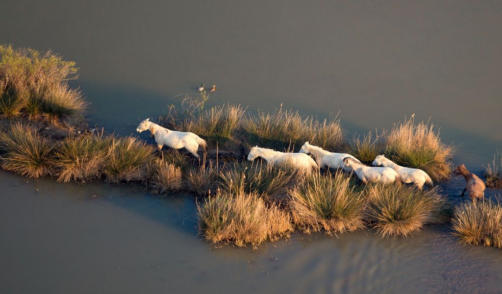 Mallorca als Farblabor f&uuml;r Wandfarben